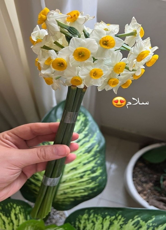 متن سلام برای استوری 10 متن سلام استوری اینستا