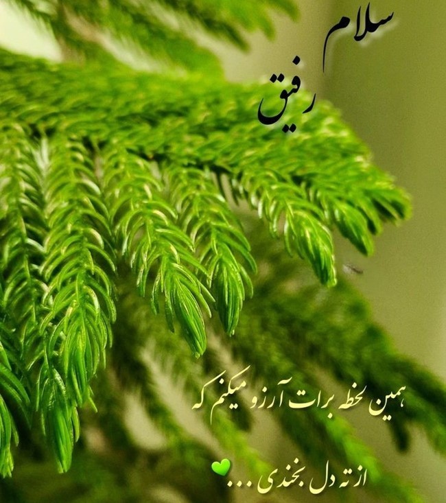 متن سلام و عرض ادب دوستانه