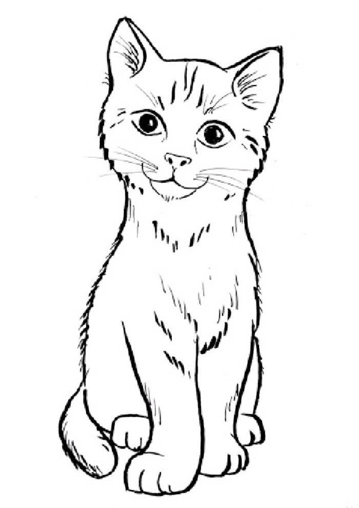 نقاشی بچه گربه واقعی 1