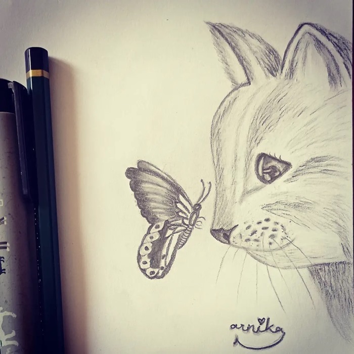 نقاشی گربه واقعی 2