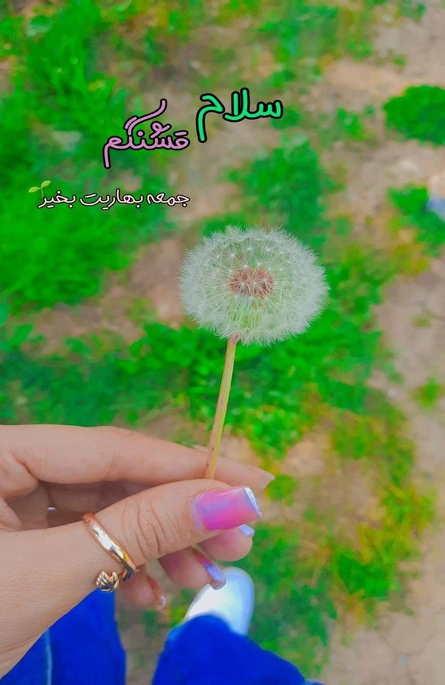 استوری صبح جمعه 14 استوری صبح جمعه 13