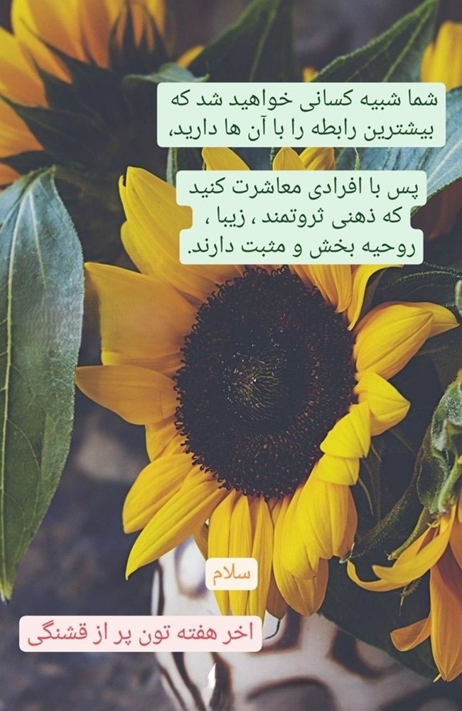 استوری صبح جمعه 3 استوری صبح جمعه 2