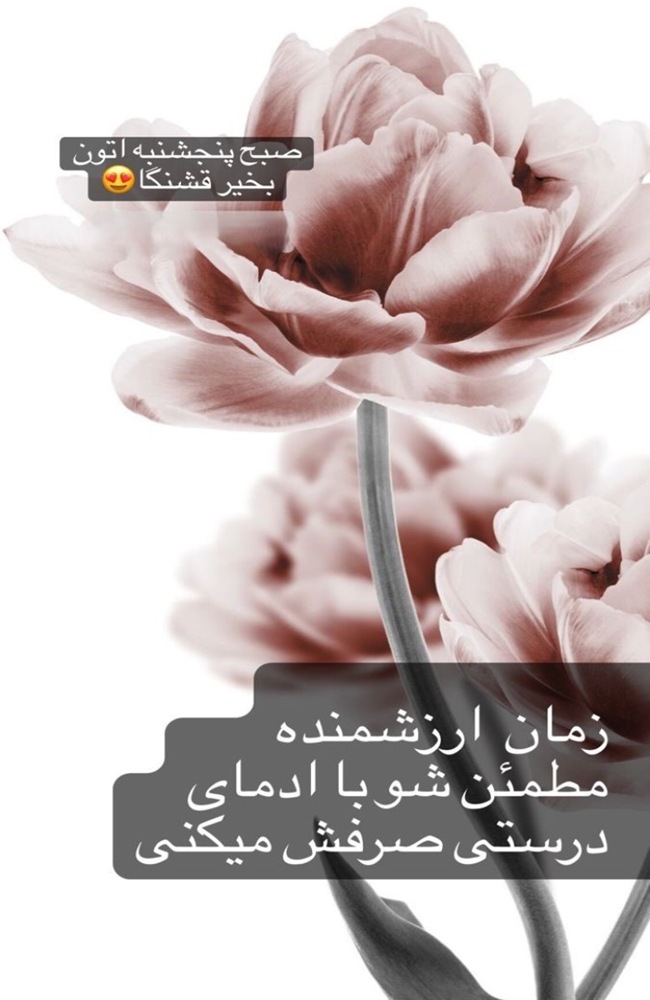 استوری صبح پنجشنبه 6 استوری صبح پنجشنبه 5