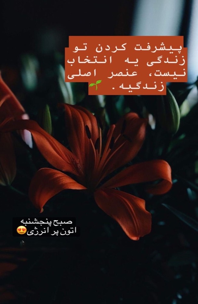 استوری صبح پنجشنبه 7 استوری صبح پنجشنبه 6