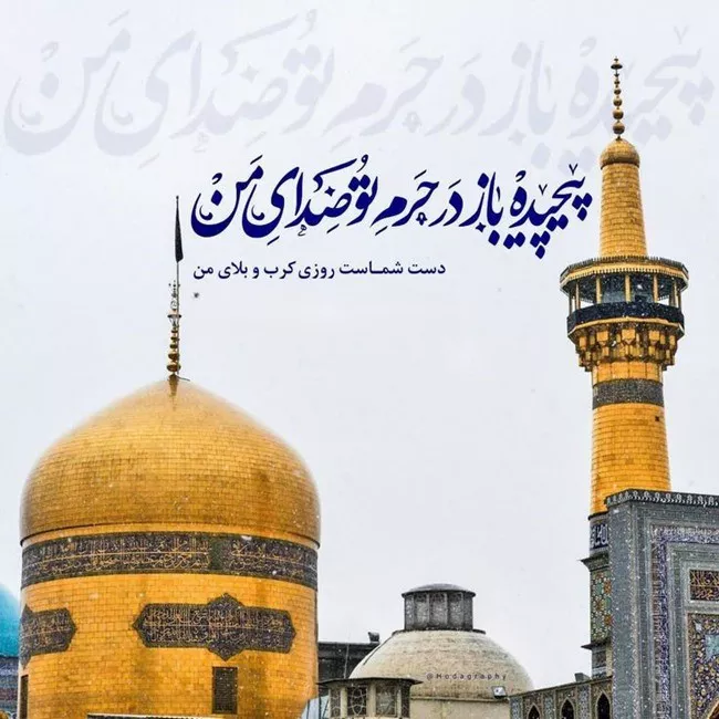 اشعار ولادت امام رضا 3