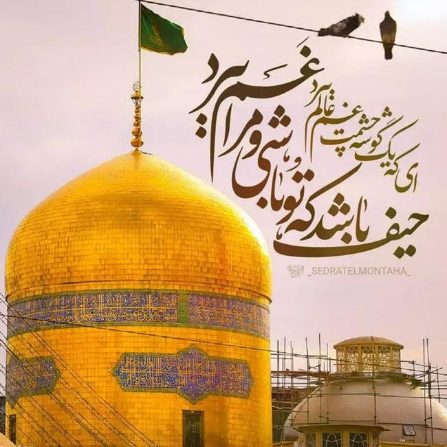 اشعار ولادت امام رضا 6