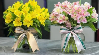 بهترین گل برای سالگرد ازدواج (عکس گل طبیعی و باکس گل) 10 بهترین گل برای سالگرد ازدواج