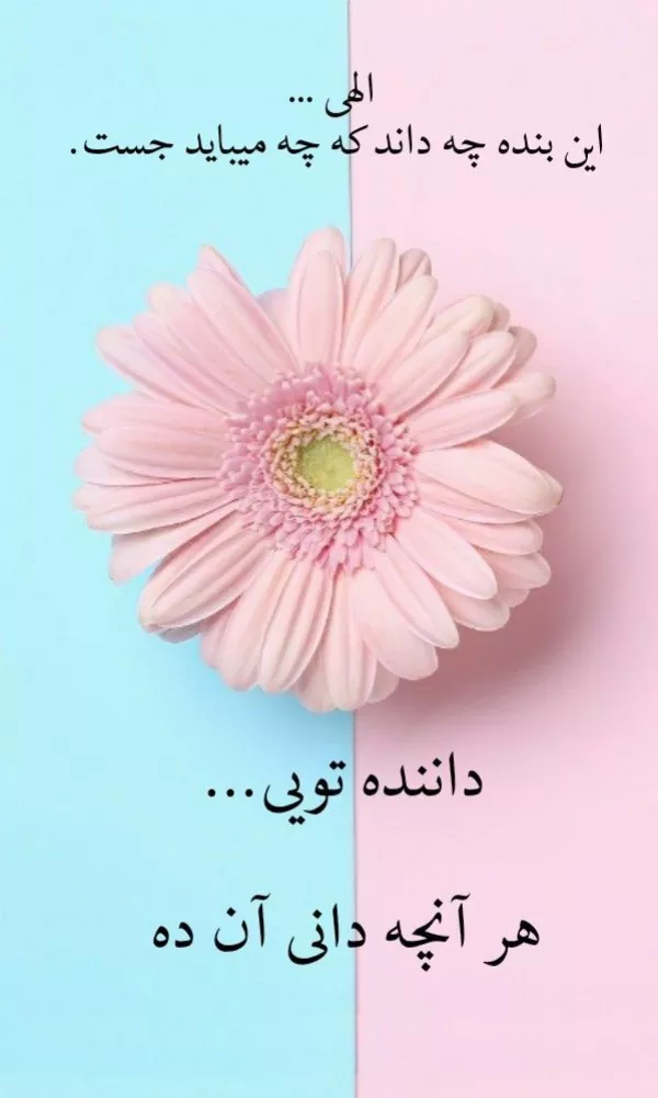 جملات ناب مجری گری و سلام برای شروع برنامه 7