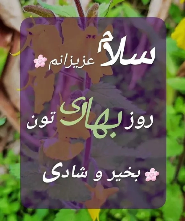 سلام صبح بخیر زیبا و جدید برای امروز 3