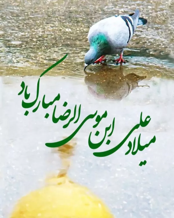 عکس ولادت امام رضا با کیفیت بالا برای پروفایل جدید 42 عکس ولادت امام رضا با کیفیت بالا 42