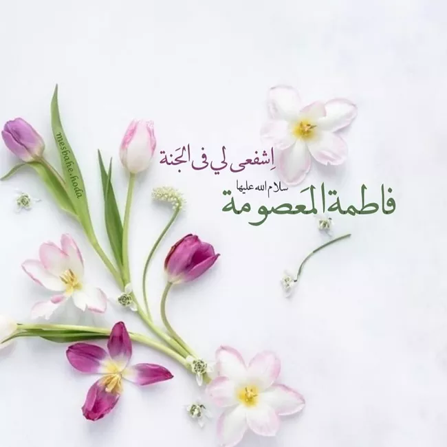 زیباترین جملات و متن تبریک ولادت حضرت معصومه ۱۴۰۴ 5 متن تبریک ولادت حضرت معصومه 5