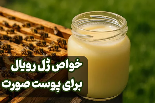 خواص ژل رویال برای پوست صورت