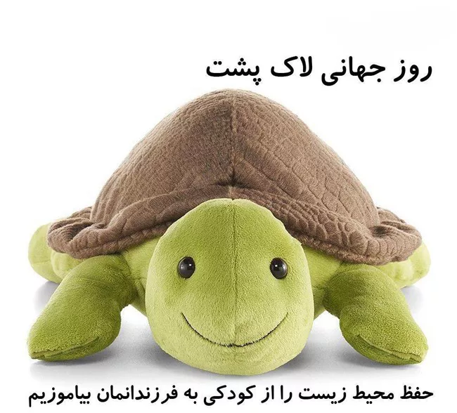 روز جهانی لاک پشت چه روزی است 1