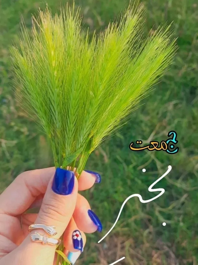 عکس روز جمعه 4