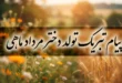 متن پیام تبریک تولد دختر مرداد ماهی