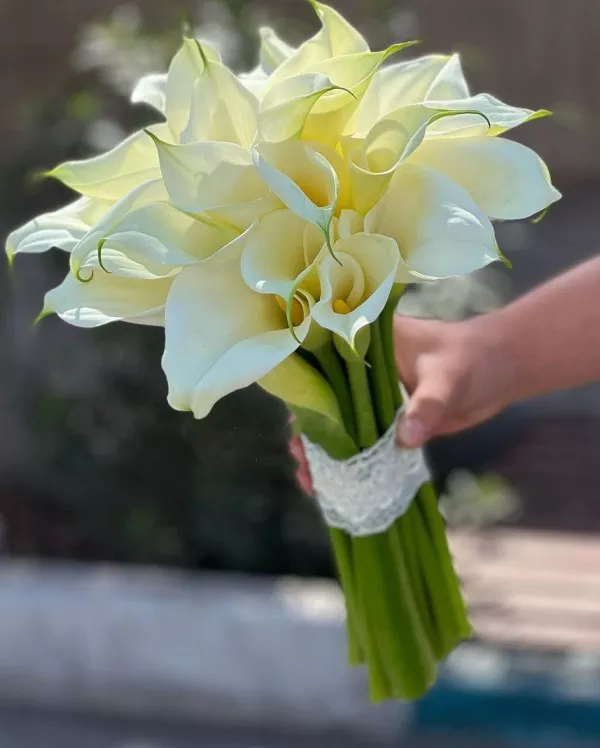 مدل دسته گل عروس طبیعی 3