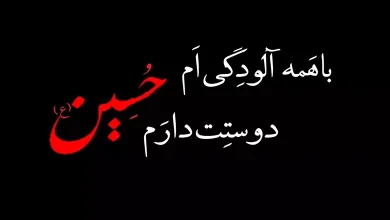 بیو امام حسینی برای واتساپ و اینستا + بیو مذهبی امام حسین عربی 8 بیو امام حسینی