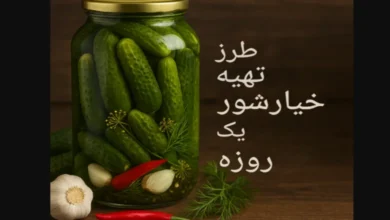 طرز تهیه خیارشور یک روزه در منزل 9 طرز تهیه خیارشور یک روزه در منزل