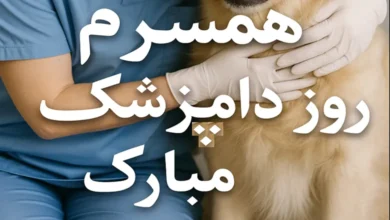 متن پیام تبریک روز دامپزشک به همسر 1 تبریک روز دامپزشک به همسر