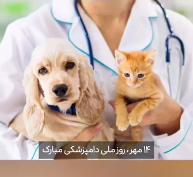 35 متن پیام تبریک روز دامپزشک 3 متن تبریک روز دامپزشک 4