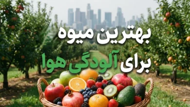 بهترین میوه برای آلودگی هوا به ترتیب قدرت سم زدایی از بدن 76 بهترین میوه برای آلودگی هوا