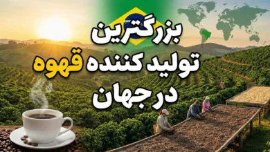 بزرگترین تولید کننده قهوه در جهان کدام کشور است؟ 37 بزرگترین تولید کننده قهوه در جهان کدام کشور است
