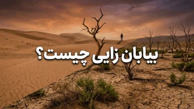 بیابان زایی چیست؟ علل، پیامدها و روش بیابان زدایی در ایران 31 بیابان زایی چیست