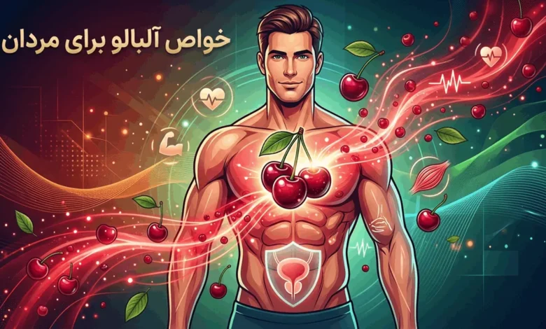خواص آلبالو برای مردان: از ریکاوری عضلات تا سلامت پروستات 1 خواص آلبالو برای مردان