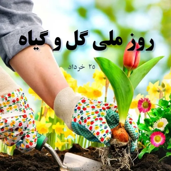 روز جهانی گل ۱۴۰۵ چه روزی است 3 روز جهانی گل 2