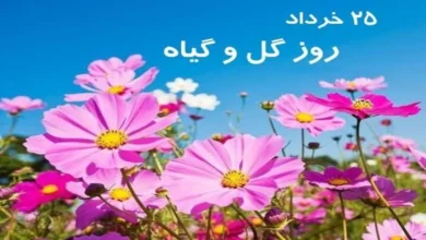 روز جهانی گل ۱۴۰۵ چه روزی است 25 روز جهانی گل