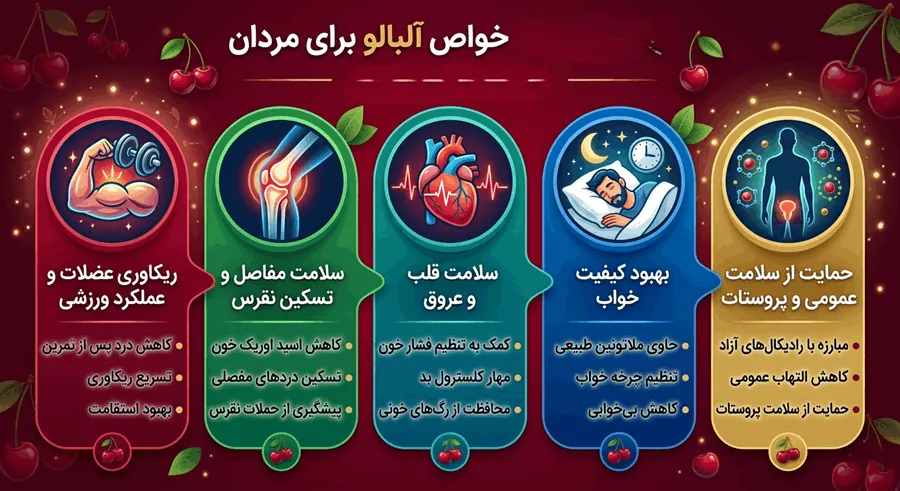 خواص آلبالو برای مردان: از ریکاوری عضلات تا سلامت پروستات 2 فواید آلبالو برای سلامت آقایان