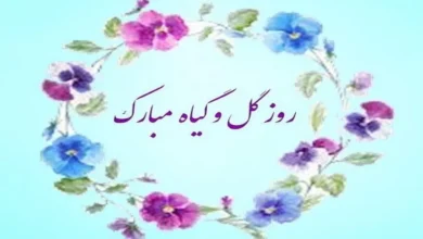 35 متن پیام تبریک روز گل و گیاه 6 متن پیام تبریک روز گل و گیاه