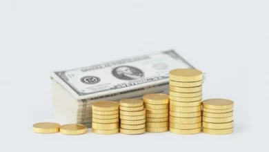 آموزش دریافت و نقد کردن درآمد دلاری در ایران با کمترین کارمزد