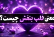 معنی قلب بنفش