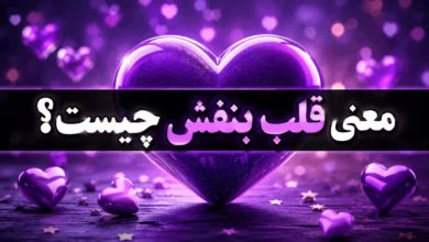 معنی قلب بنفش از طرف دختر و پسر در رابطه، چت و بیو اینستا 💜 192 معنی قلب بنفش