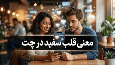 معنی قلب سفید از طرف دختر و پسر در چت و بیو اینستا 🤍 3 معنی قلب سفید