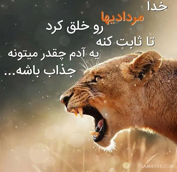 پروفایل شیر مردادی 9