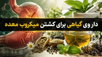 بهترین داروی گیاهی برای کشتن میکروب معده 127 بهترین داروی گیاهی برای کشتن میکروب معده