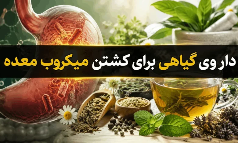 بهترین داروی گیاهی برای کشتن میکروب معده 1 بهترین داروی گیاهی برای کشتن میکروب معده