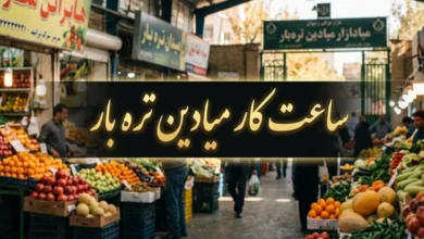 ساعت کار میادین تره بار ۱۴۰۵ 7 ساعت کار میادین تره بار