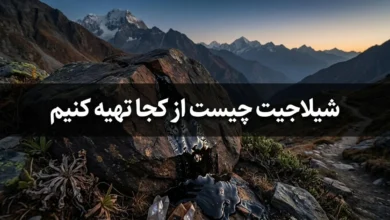 شیلاجیت چیست از کجا تهیه کنیم 117 شیلاجیت چیست از کجا تهیه کنیم