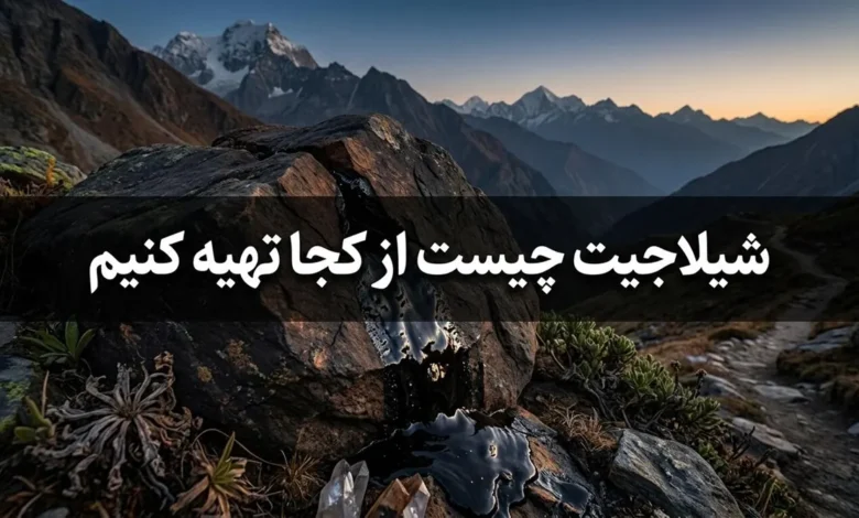 شیلاجیت چیست از کجا تهیه کنیم 1 شیلاجیت چیست از کجا تهیه کنیم