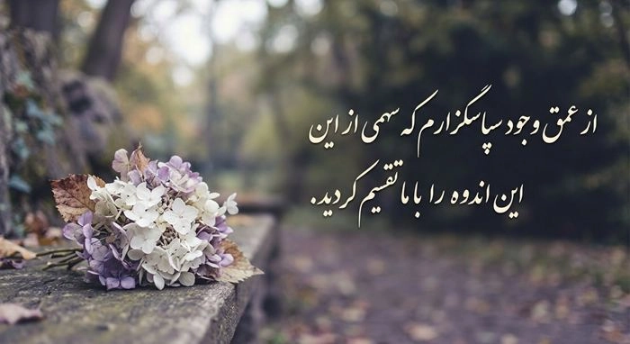 جواب پیام تسلیت 5
