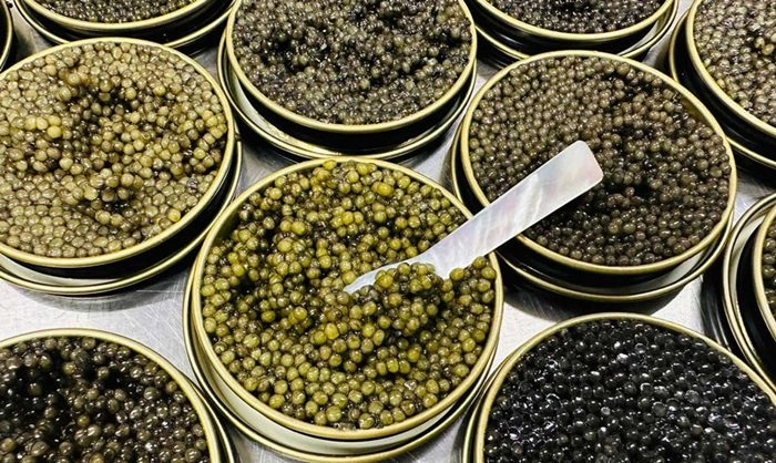 نکات خرید خاویار ایرانی اصل