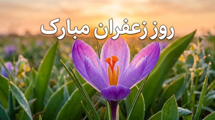 متن پیام تبریک روز ملی زعفران 6 تبریک روز ملی زعفران 6
