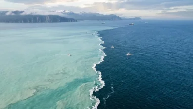 دریای دو رنگ کجاست؟ مخلوط نشدن آب دو دریا در قرآن 266 دریای دو رنگ کجاست