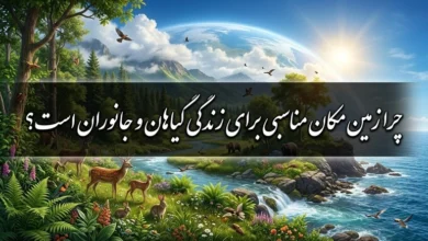چرا زمین مکان مناسبی برای زندگی گیاهان و جانوران است 62 چرا زمین مکان مناسبی برای زندگی گیاهان و جانوران است 1